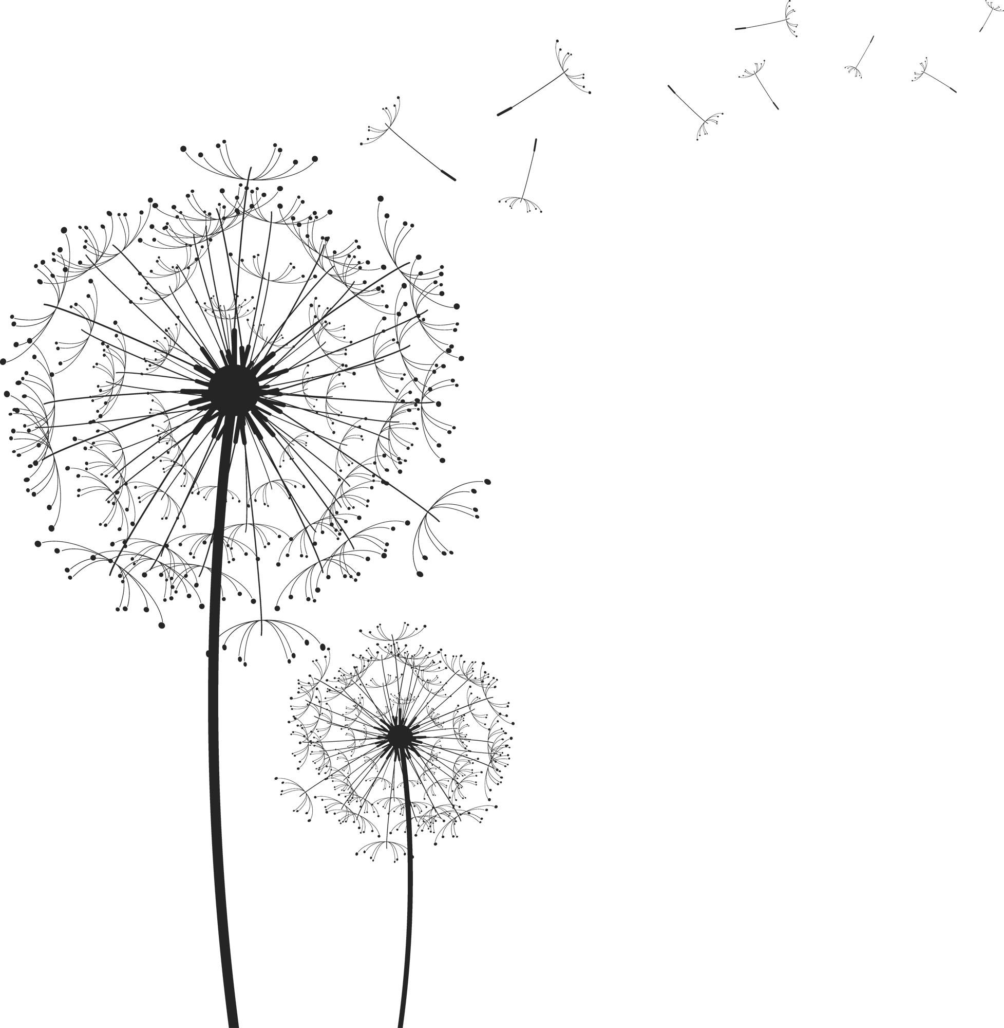 Logo Pusteblume